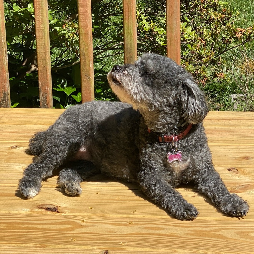 Meet your Posher, Jasmine